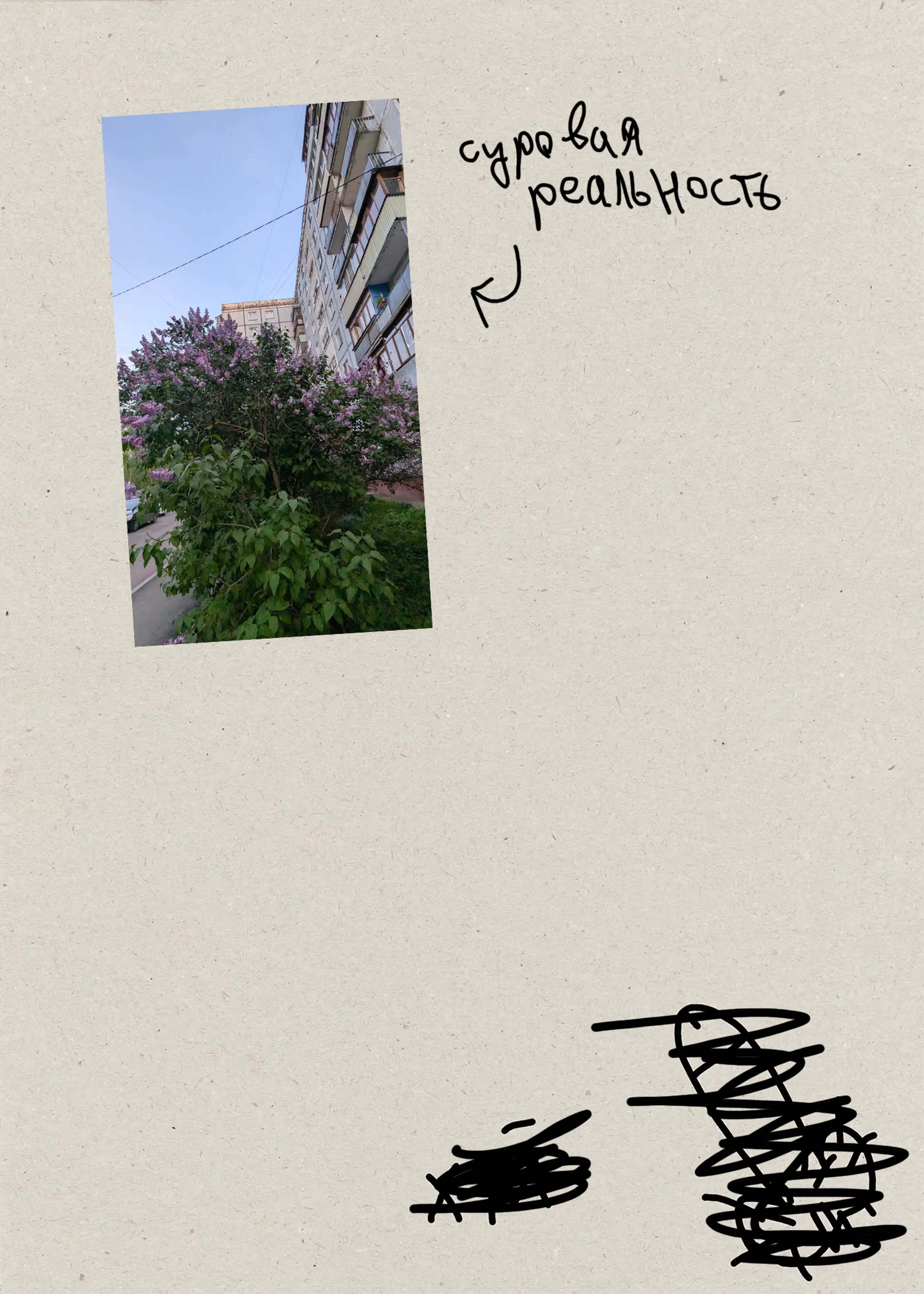 Плакат «Сирень» (back)
